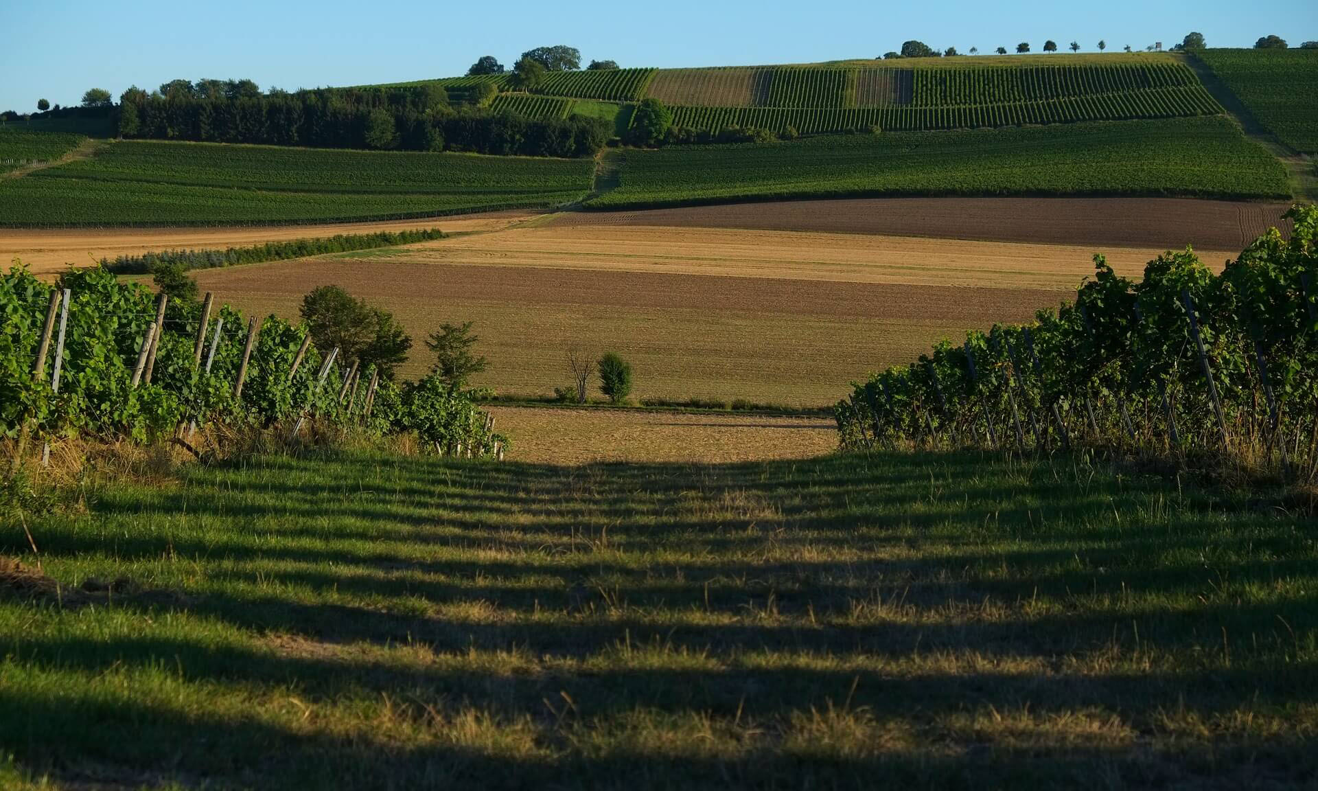 Pfalz