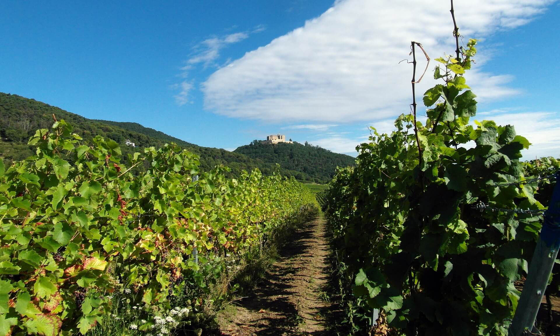 Hambacher Schloss